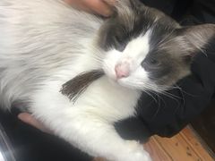 -南花桥羊肉馆老字号(乌镇店)