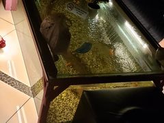 -ventus spa 沙巴亚庇正宗精油按摩会所