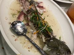 -陶缘一号·四季缘·老字号顺德菜·户外婚礼家宴(西滘店)