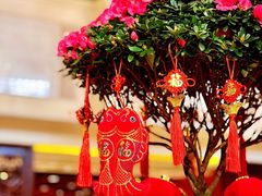 -北京中国大饭店