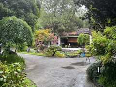 -日出青木·杭帮菜名店