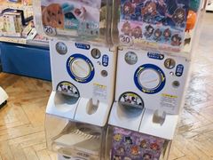 -Animate(工人体育场东路店)