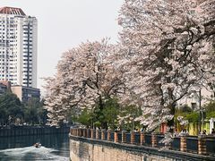-红星桥(地铁站)