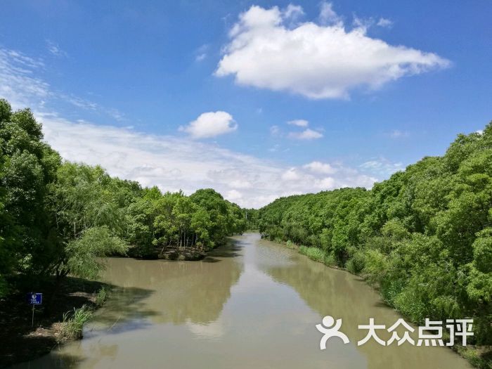 康桥生态园沔西绿地景点图片 - 第7张