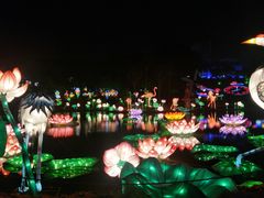 -盆满钵满·国家非遗传承(云台店)