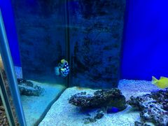 -御唐府海珊瑚主题餐厅