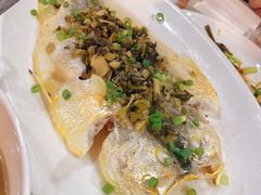 东海大黄鱼-丰收渔港饭店(嵊泗店)