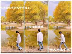 -金塔沙漠胡杨林景区