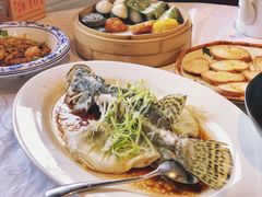 东星斑-香山家宴