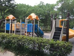 -新江湾城公园