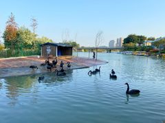 -琅岐红光湖公园