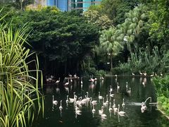 -九龙公园