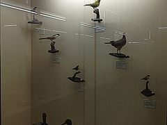 -下渚湖国家湿地公园科普馆