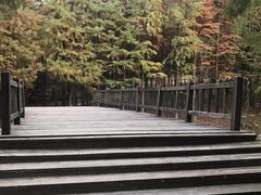 -宝界山林公园