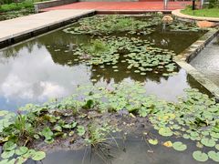 -广州汇华希尔顿逸林酒店