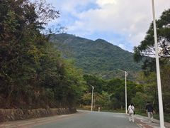 -梧桐山风景名胜区