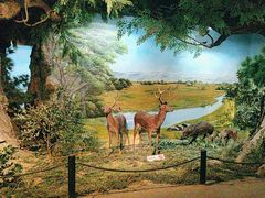 -马鞍山市博物馆