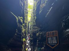 -梭布垭石林景区