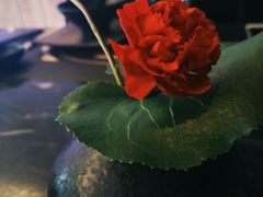 -王家渡火锅(金宝汇店)