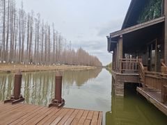 -黄海国家森林公园