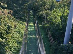 -富斯特索道