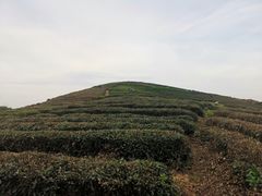 -侘山民宿(杭州西湖龙坞店)