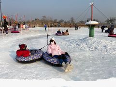 -绿野森林乐园冰雪季