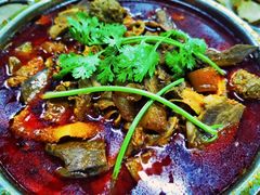 双宝全牛火锅-清真双宝红油牛系列