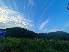 -大岭沟猕猴桃谷风景区