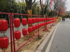 -武汉园博园(武汉自然博物馆)
