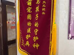 -宠爱国际动物医院·消化内科·心肾内科·ISFM猫友好(望京店)