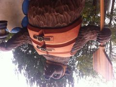 iphone_upload_pic-加州迪士尼乐园