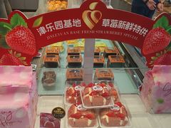 -津乐园(宜白路店)