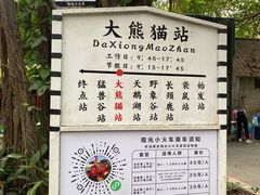 -深圳野生动物园