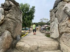 -朝阳公园游乐园