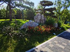 -莲花池公园