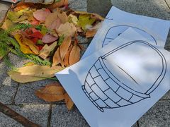 -白塘生态植物园