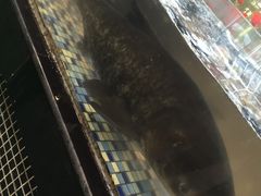 -森谷美食公园(杨行店)