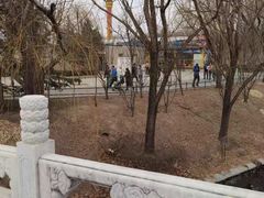 -朝阳公园游乐园