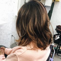 中发-SALON V