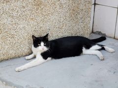 -中南大学湘雅二医院
