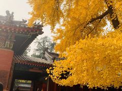 -承恩寺