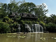 -中国科学院西双版纳热带植物园