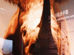 -大庆市博物馆
