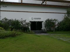 -桤木河湿地公园