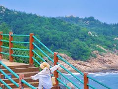 -广东惠东海龟国家级自然保护区