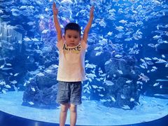 -成都浩海立方海洋公园