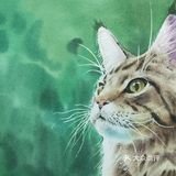 水彩里的小动物~