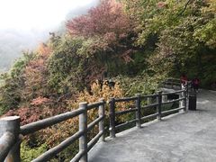 -少华山国家森林公园