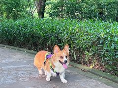 -重庆彩云湖湿地公园